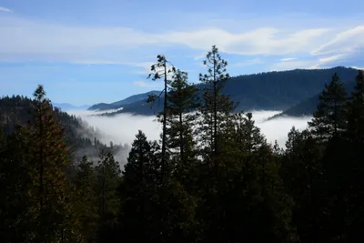 DSC_3155 (Large).JPG